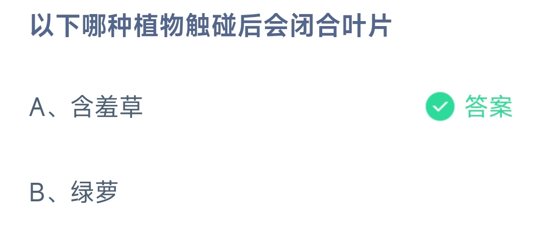 以下哪种植物触碰后会闭合叶片(图1)