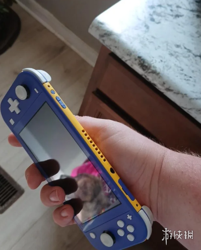 这个厉害了！7岁男孩意外做出了黄蓝撞色Switch Lite(图2)