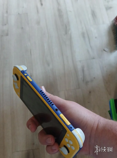 这个厉害了！7岁男孩意外做出了黄蓝撞色Switch Lite(图3)