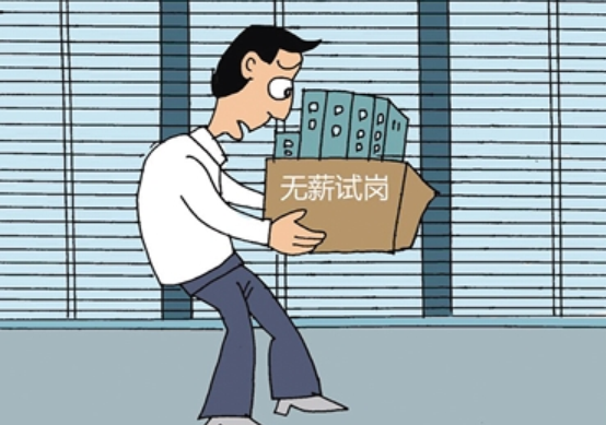 7天无薪试岗！多位求职者试岗阶段遭辞退却无工资(图1)