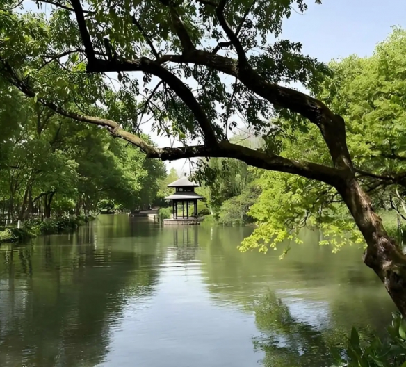 网友入住酒店意外发现古墓！酒店员工解释：特色景观(图3)