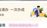 浙里办报告查询入口