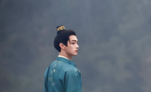 子夜归梅逐雨是半妖吗