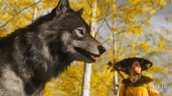 《羊蹄山》新情报:狼是动态支援系统 可解锁专属技能树(图1)