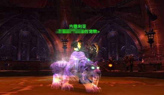 魔兽世界诺森德猎人稀有宠物介绍4