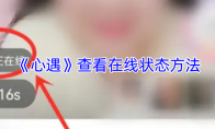 《心遇》查看在线状态方法