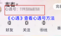 《心遇》查看心遇号方法