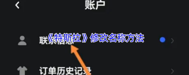 《特斯拉》修改名称方法