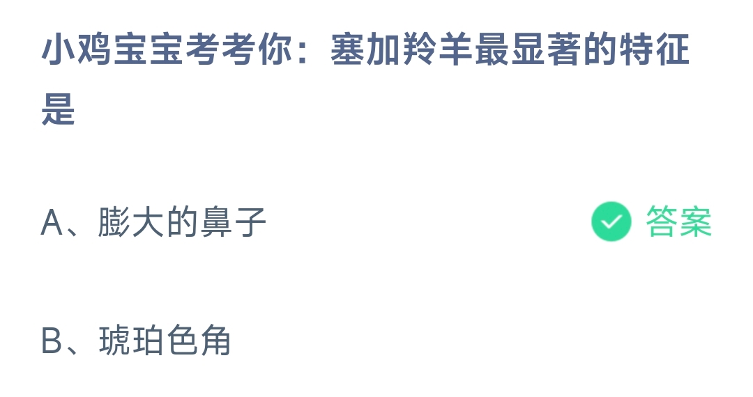 小鸡宝宝考考你：塞加羚羊最显著的特征是(图1)