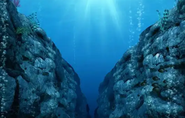 哪种海洋环境中的食物链被称为“黑色食物链”？