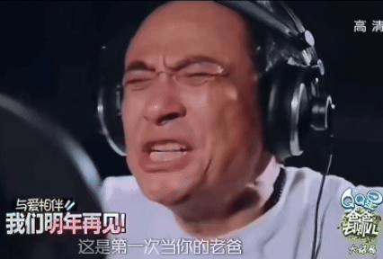 全民造梗时代：京学当道、咏春大娘…万物皆可梗(图10)