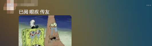 全民造梗时代：京学当道、咏春大娘…万物皆可梗(图24)