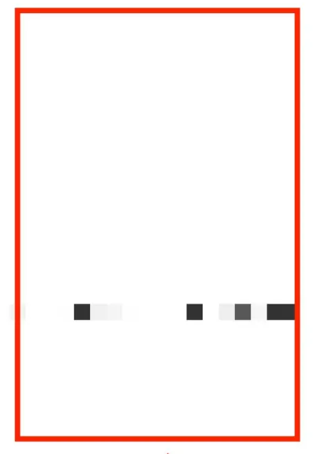 每日英语听力官方版