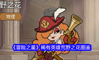 《冒险之星》稀有英雄荒野之花图鉴