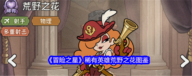 《冒险之星》稀有英雄荒野之花图鉴