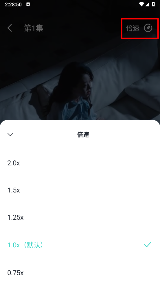 大鱼短剧app使用教程