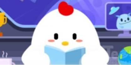 小鸡庄园最新的答案 小鸡庄园最新的答案8.31