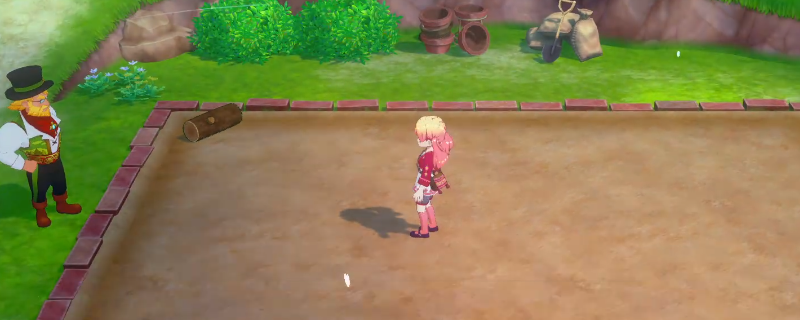 《牧场物语 来吧！风之繁华集市》种地赚钱教学分享