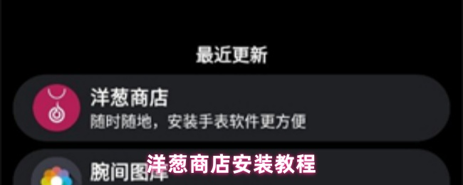 洋葱商店app安装教程