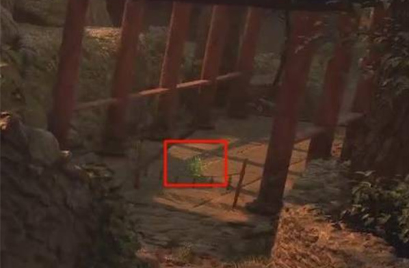 明末渊虚之羽全竹笋精位置分享1