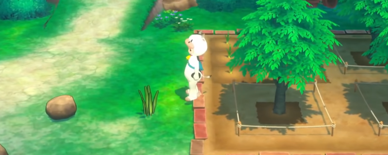 《牧场物语 来吧！风之繁华集市》前期摆烂刷钱方法介绍