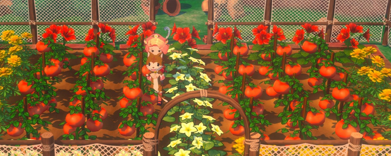 《牧场物语 来吧！风之繁华集市》游戏全农作物特点介绍