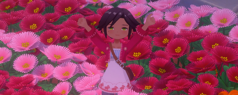 《牧场物语 来吧！风之繁华集市》游戏全花朵特点介绍