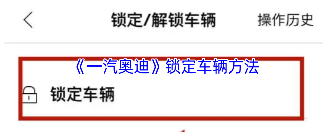 《一汽奥迪》锁定车辆方法