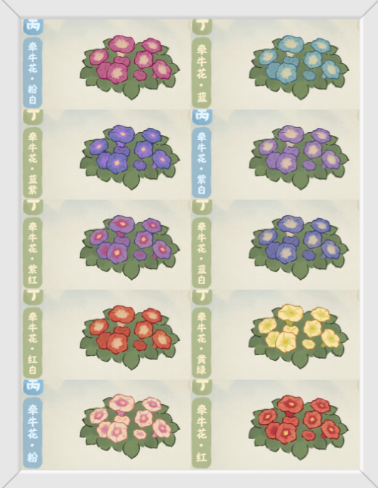 《桃源深处有人家》牵牛花育种配方大全(图2)