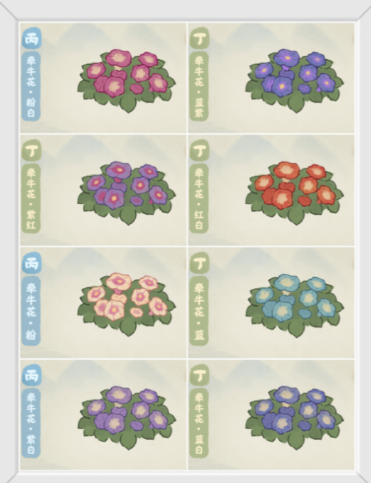 《桃源深处有人家》牵牛花育种配方大全(图3)