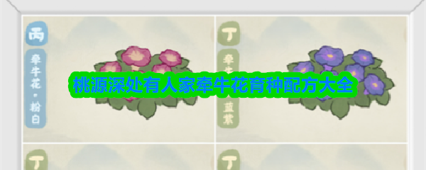 《桃源深处有人家》牵牛花育种配方大全(图1)