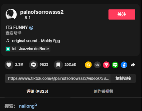 先别管钟馗了，奶龙已经在外网先一步文化输出了(图13)