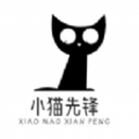 小猫先锋电视