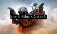csgo买回来的刀怎么改名