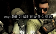 csgo暂时冷却时间是怎么回事