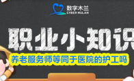 养老服务师等同于医院的护工吗