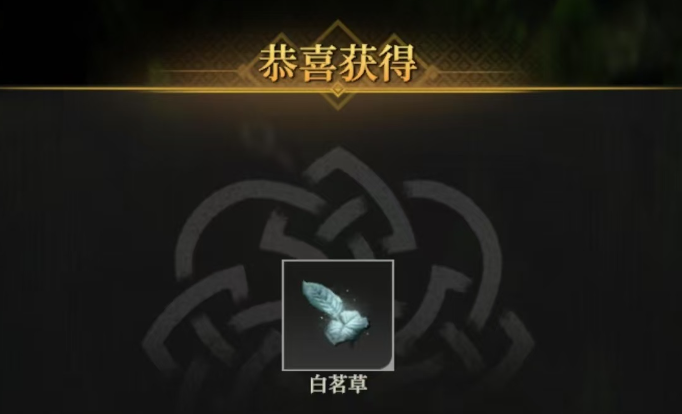 《地下城堡4：骑士与破碎编年史》白茗草打法攻略(图5)