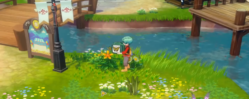 《牧场物语 来吧！风之繁华集市》昆虫捕捉方法介绍