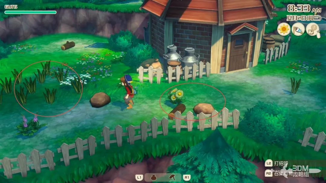 《牧场物语 来吧！风之繁华集市》全资源点位置 资源点介绍(图2)