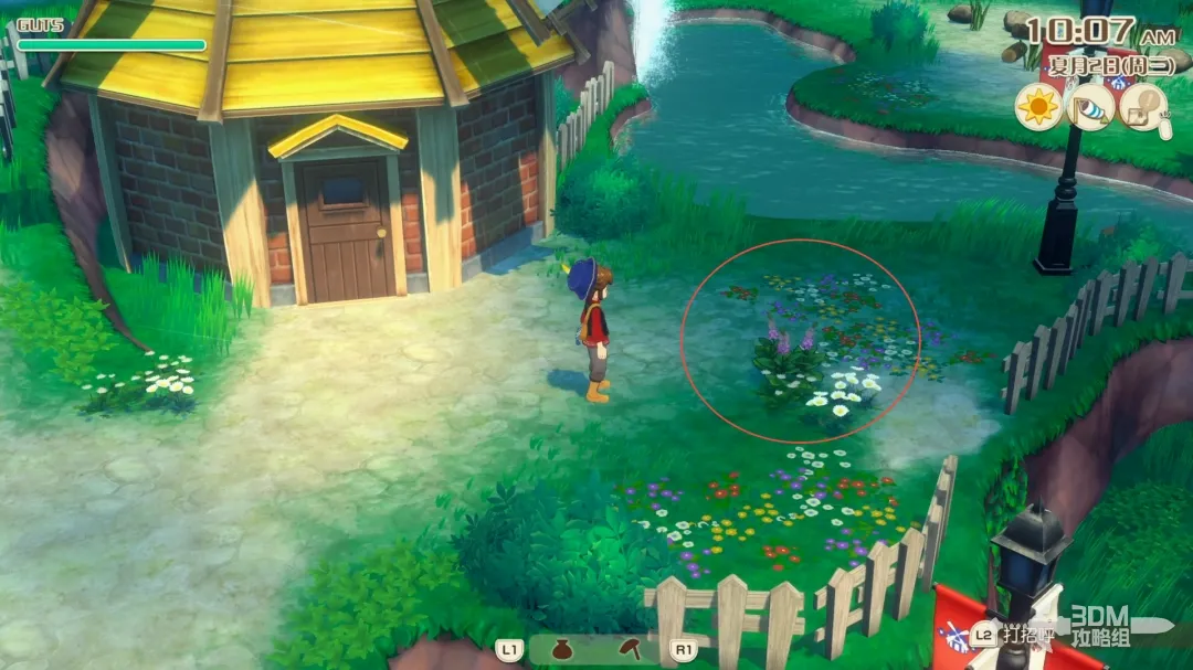 《牧场物语 来吧！风之繁华集市》全资源点位置 资源点介绍(图7)