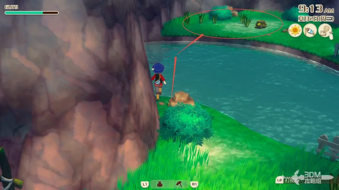 《牧场物语 来吧！风之繁华集市》全资源点位置 资源点介绍(图10)