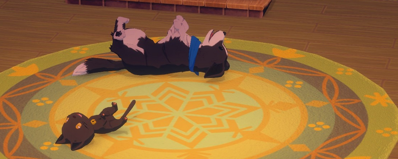 《牧场物语 来吧！风之繁华集市》宠物评选赛规则及技巧分享