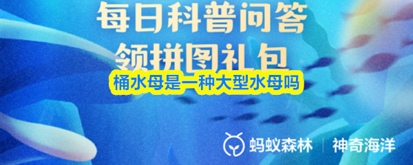 桶水母是一种大型水母吗