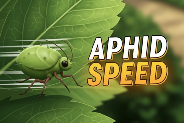 《禁闭求生2》蚜虫加速MOD：繁殖速度×3+蜜露自动采集