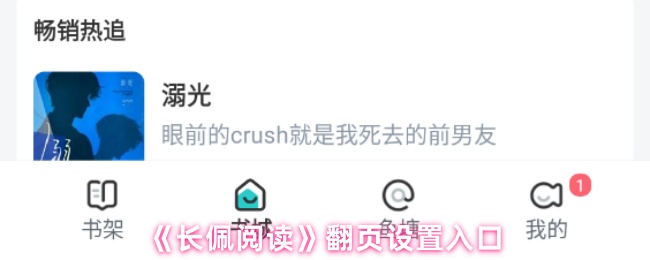 《长佩阅读》翻页设置入口