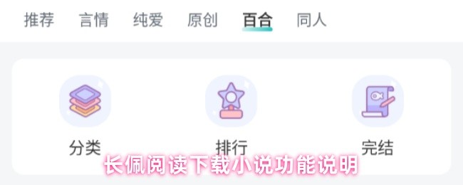长佩阅读下载小说功能说明(图1)