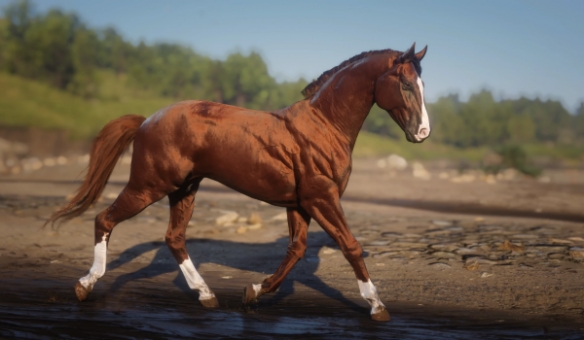 《荒野大镖客2》达雷舒里马种MOD！鬃毛流光特效+传说级耐力(图7)