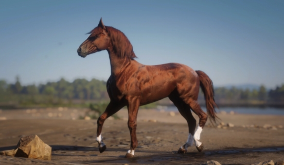 《荒野大镖客2》达雷舒里马种MOD！鬃毛流光特效+传说级耐力(图4)