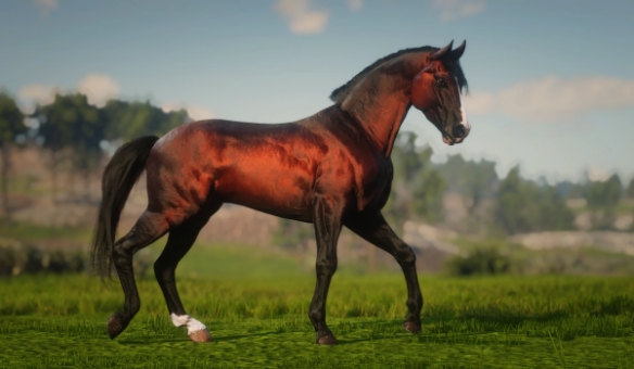 《荒野大镖客2》达雷舒里马种MOD！鬃毛流光特效+传说级耐力(图6)