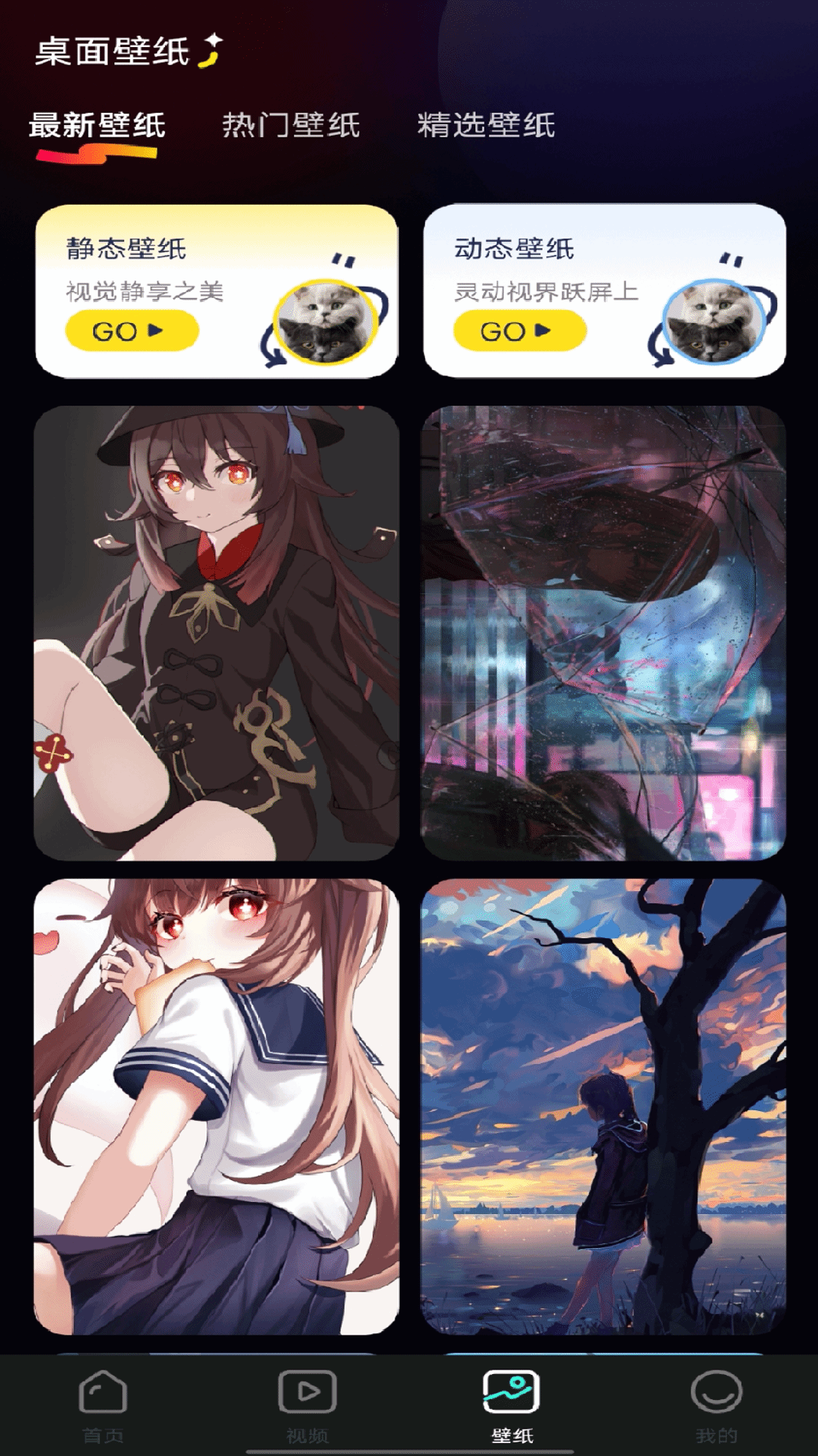 个人隐私电影播放器(图1)